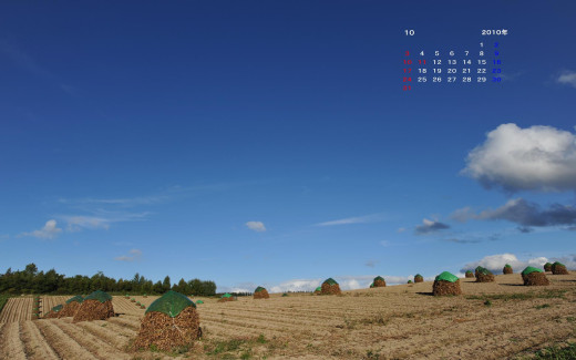 498925 (a): :1920x1200